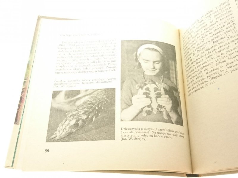NASZE GADY - Marian Młynarski 1971
