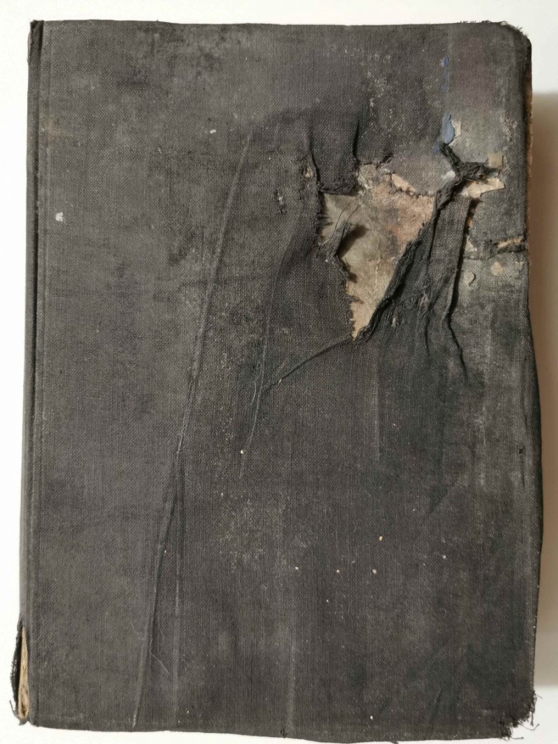CHOROBY NIEMOWLĄT I DZIECI 1936 - Emmett Holt