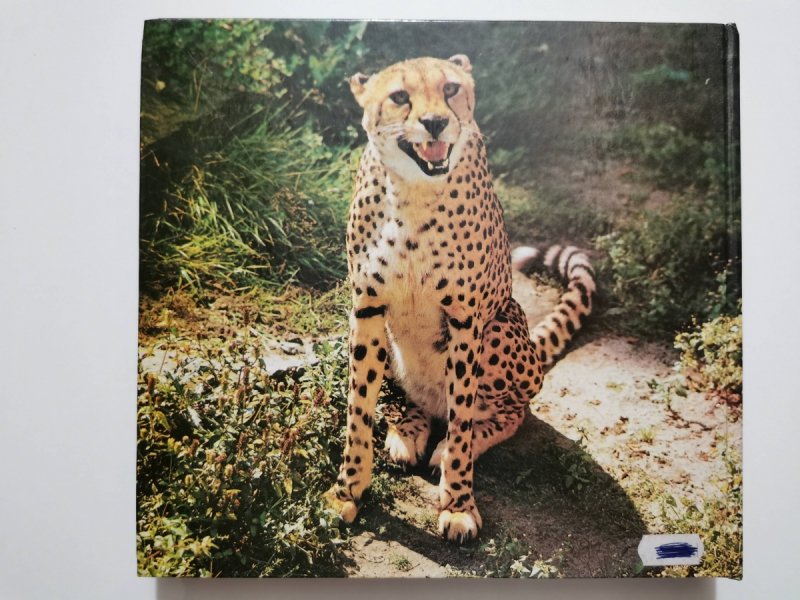 ZNAJOMI Z ZOO - A. Gucwiński