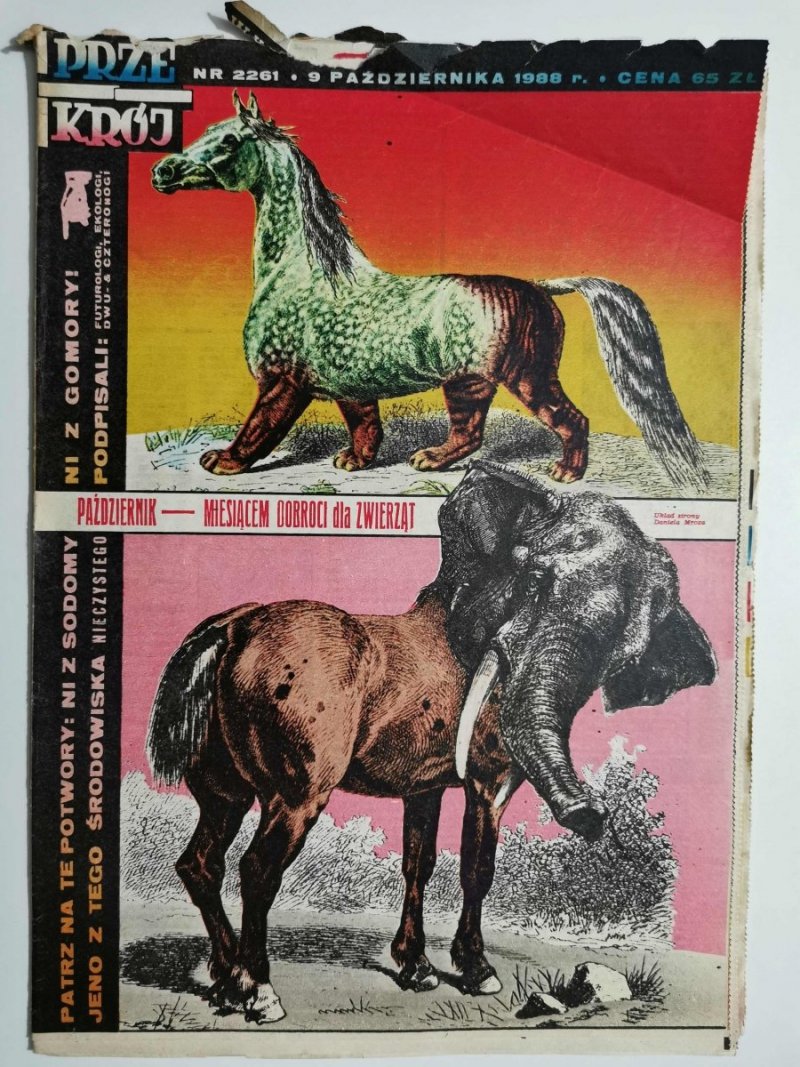 PRZEKRÓJ NUMER 2261 9 PAŹDZIERNIKA 1988 R.