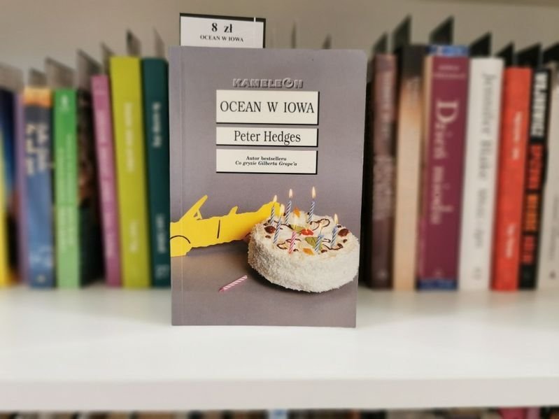 Ocean w Iowa- Peter Hedges