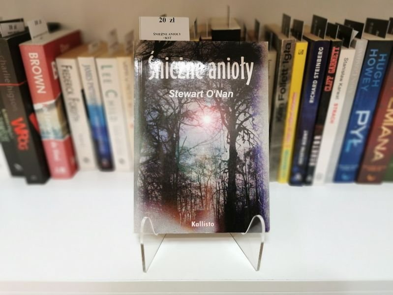 Śnieżne anioły - Stewart O'Nan