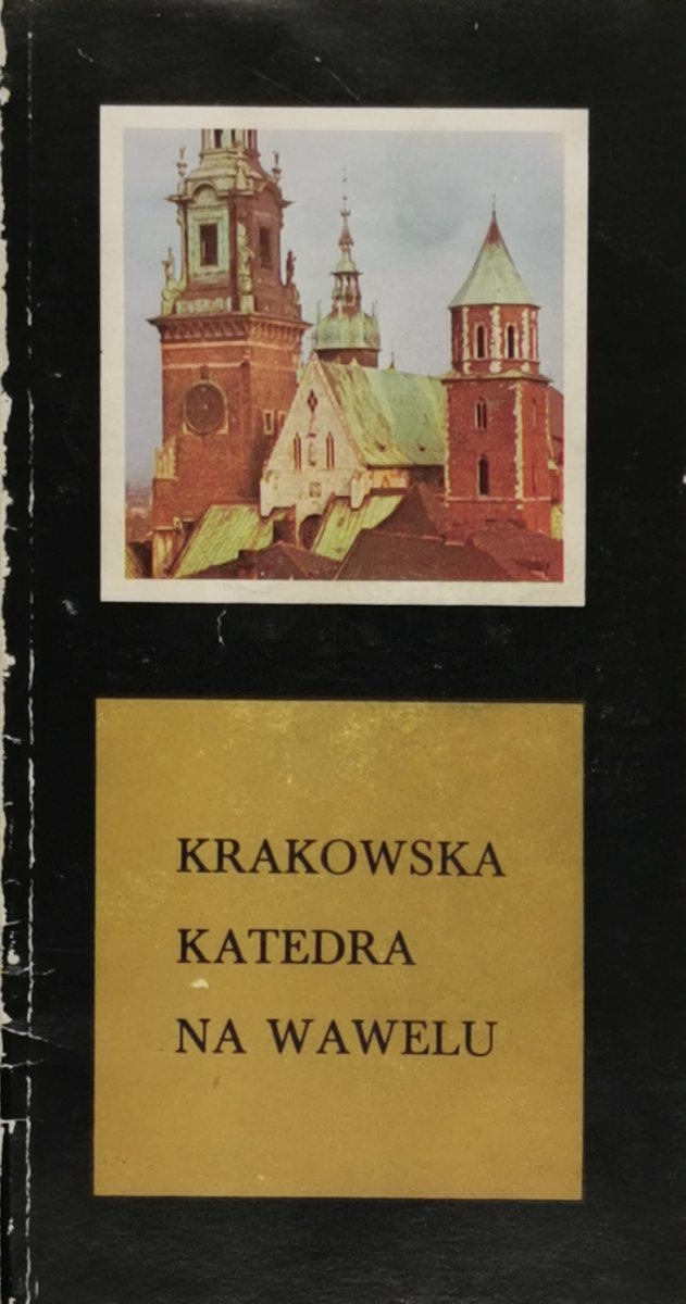 KRAKOWSKA KATEDRA NA WAWELU - Michał Rożek