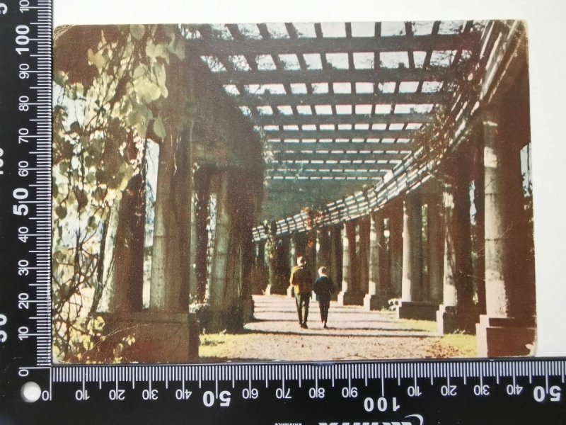 WROCŁAW. PERGOLA W PARKU
