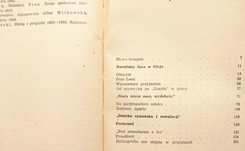 TO SAMO RAMIĘ - Zbigniew Wróblewski 1984