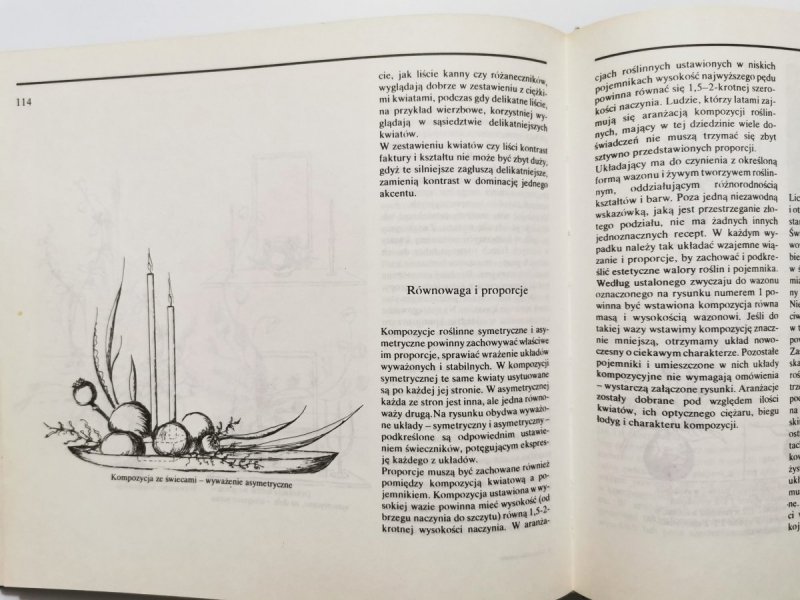 UKŁADANKI ROŚLINNE - Joanna Szendel 1988