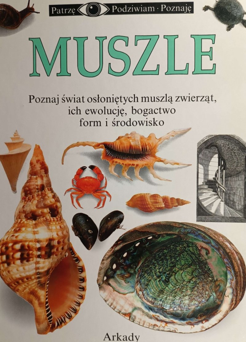 PATRZĘ, PODZIWIAM, POZNAJĘ – MUSZLE - Alex Arthur