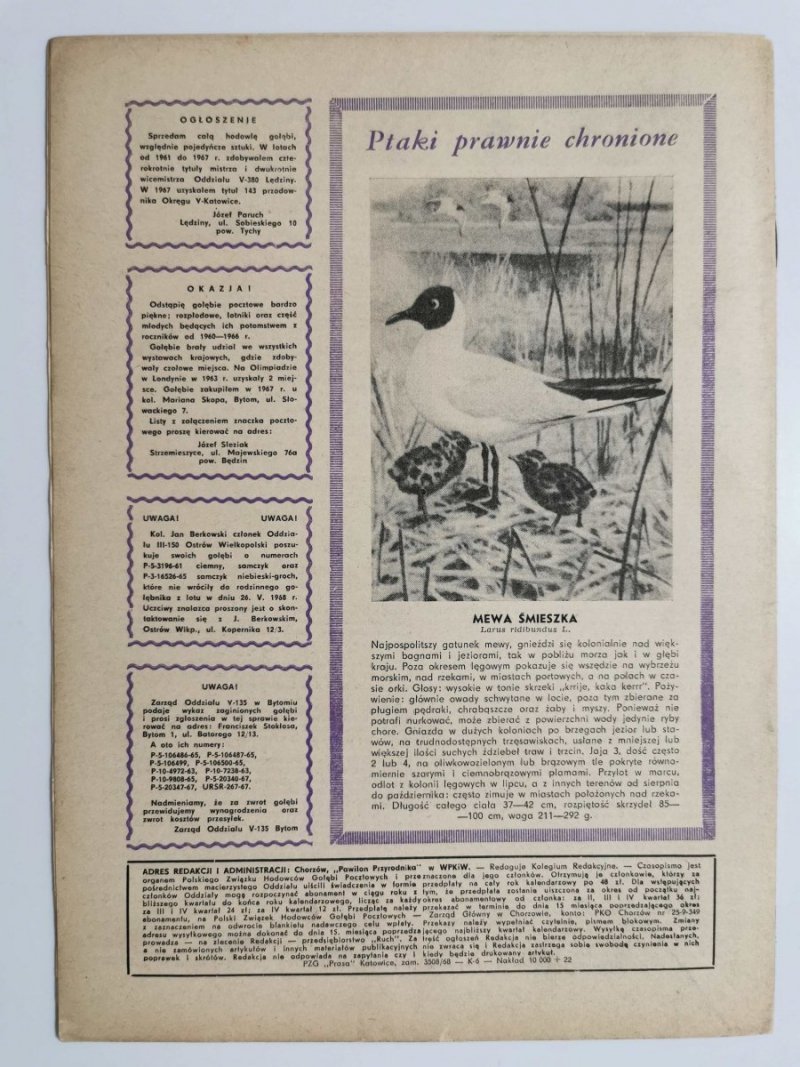 HODOWCA GOŁĘBI POCZTOWYCH NR 10  1968