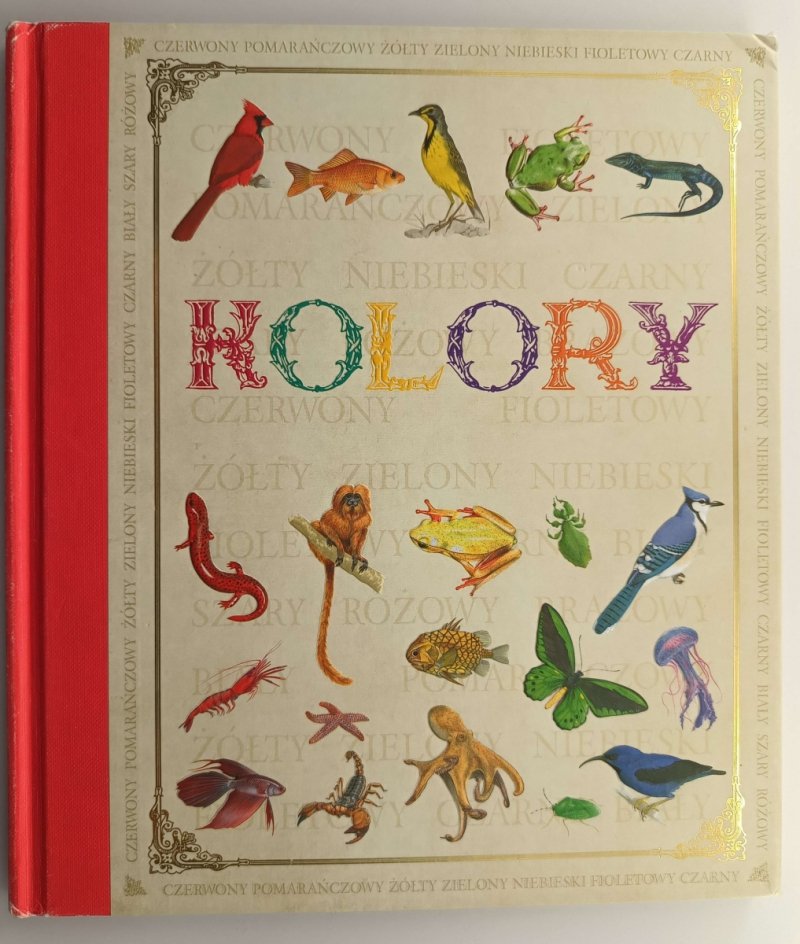 KOLORY. ŚWIAT ZWIERZĄT I BARW