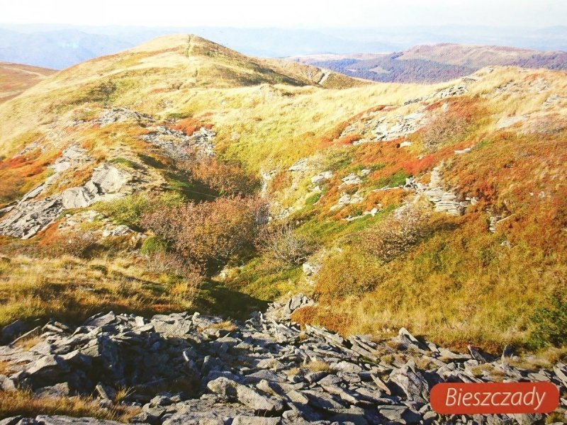 BIESZCZADY. WIDOK Z TARNICY NA SZEROKI WIERCH 1293