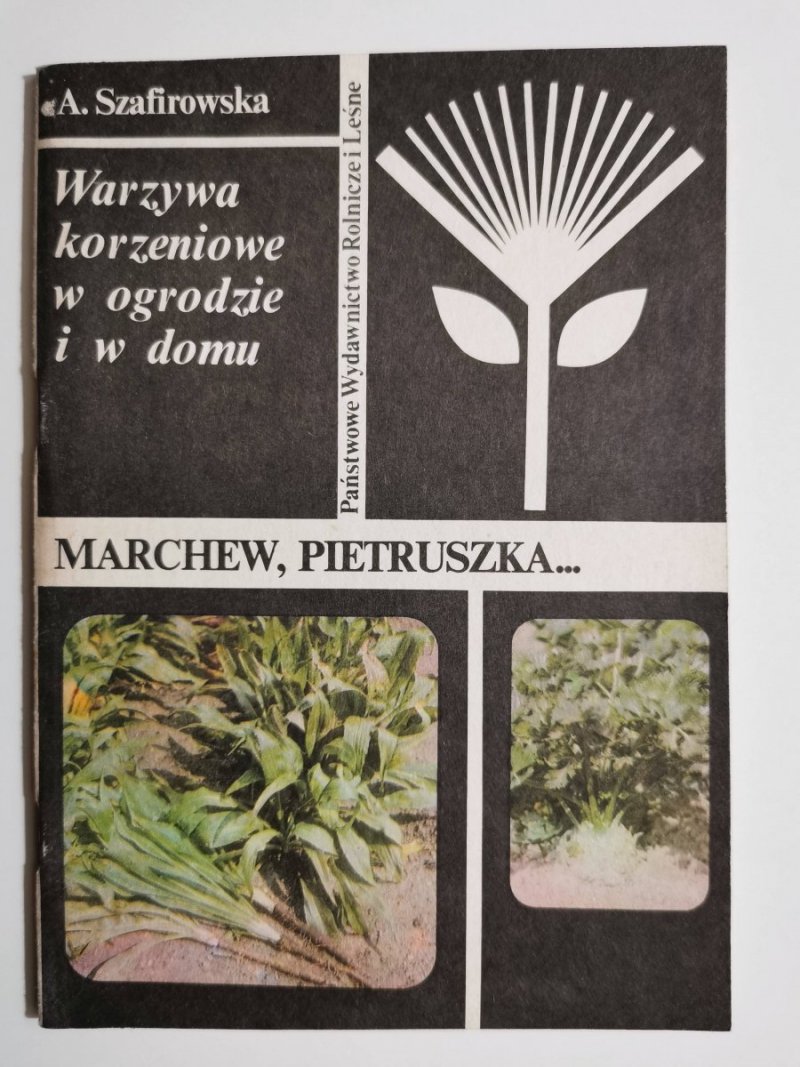 WARZYWA KORZENIOWE W OGRODZIE I W DOMU. MARCHEW, PIETRUSZKA 