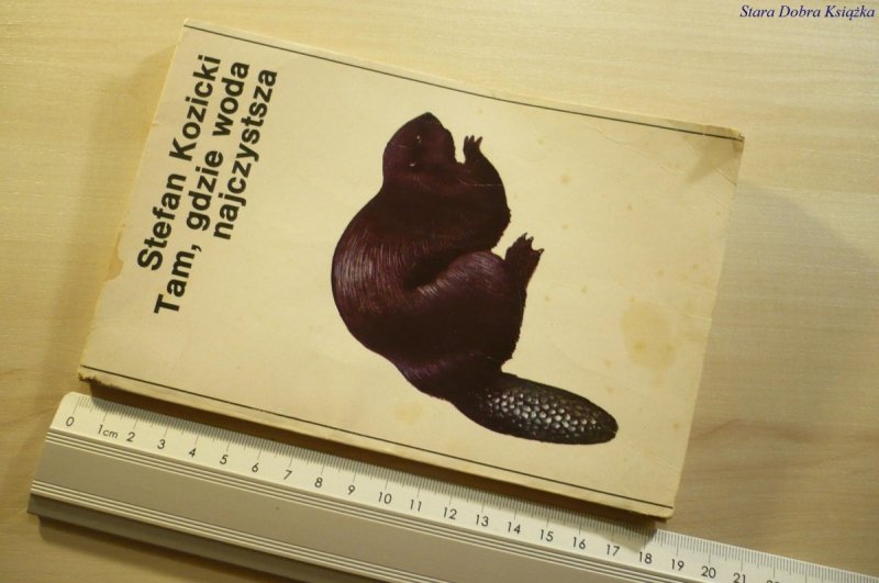 TAM, GDZIE WODA NAJCZYSTSZA - Stefan Kozicki 1980