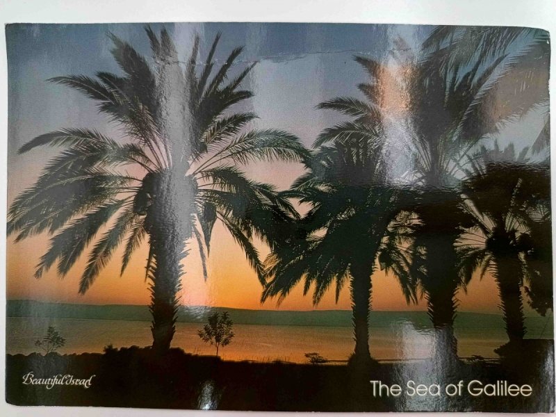 THE SEA OF GALILEE