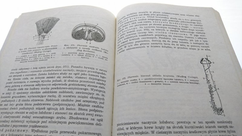 ZOOLOGIA BEZKRĘGOWCE TOM 1 CZĘŚĆ 3 - Grabda 1984