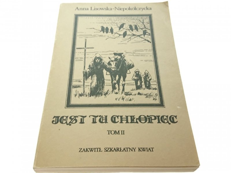 JEST TU CHŁOPIEC TOM II - Lisowska-Niepokólczycka