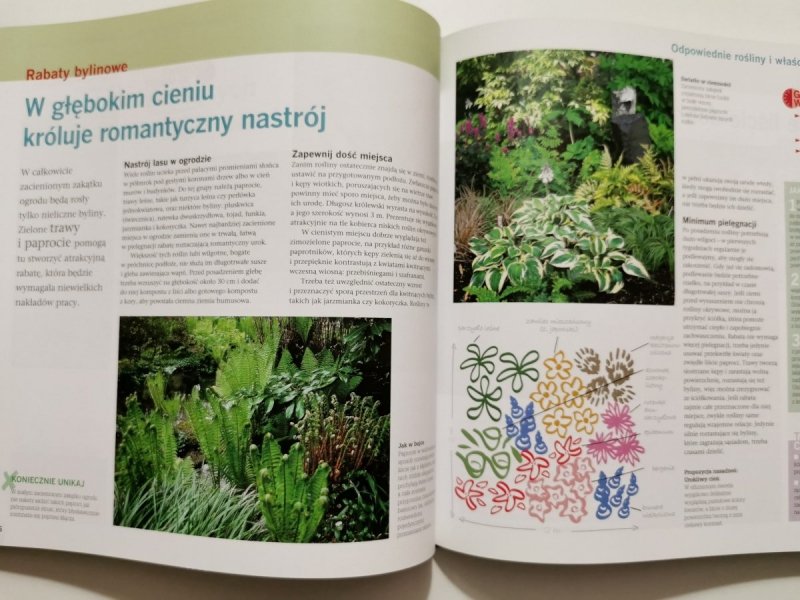 PIĘKNY OGRÓD W PÓŁ GODZINY 