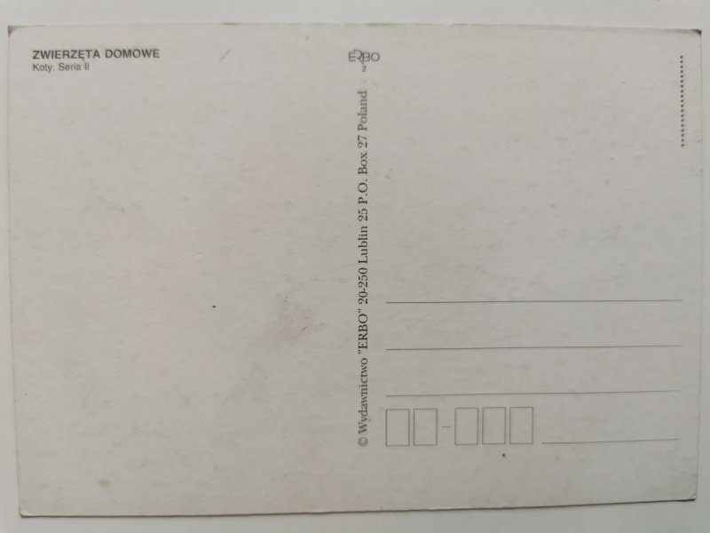 ZWIERZĘTA DOMOWE. KOTY SERIA II