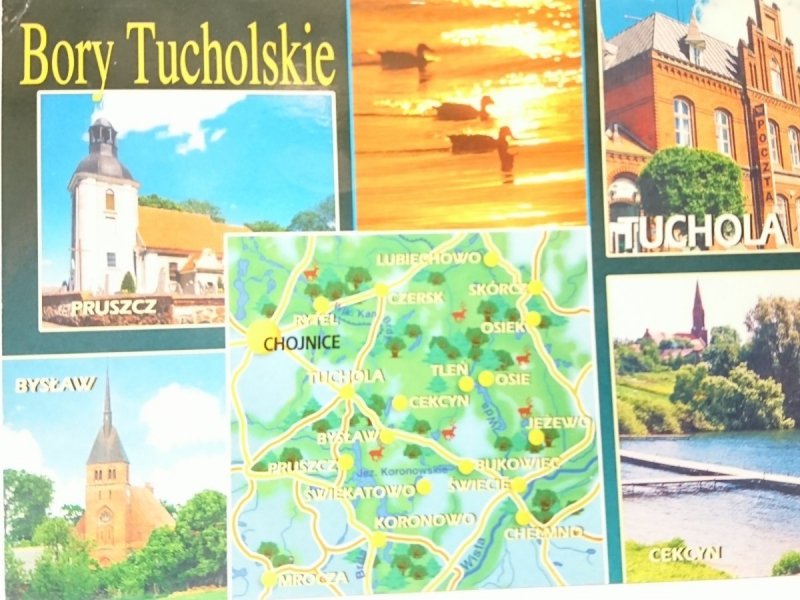BORY TUCHOLSKIE FOT. GRZEGORZ ARASZEWSKI