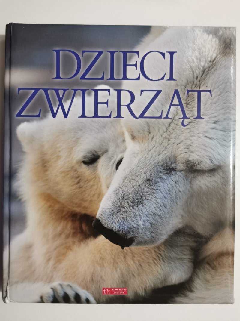DZIECI ZWIERZĄT
