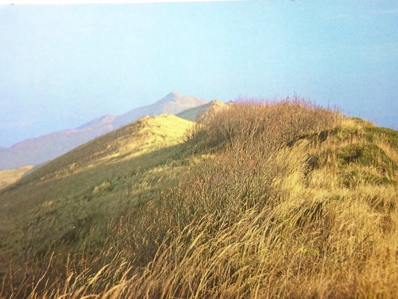 BIESZCZADY. KRAJOBRAZ POŁONINY WETLIŃSKIEJ