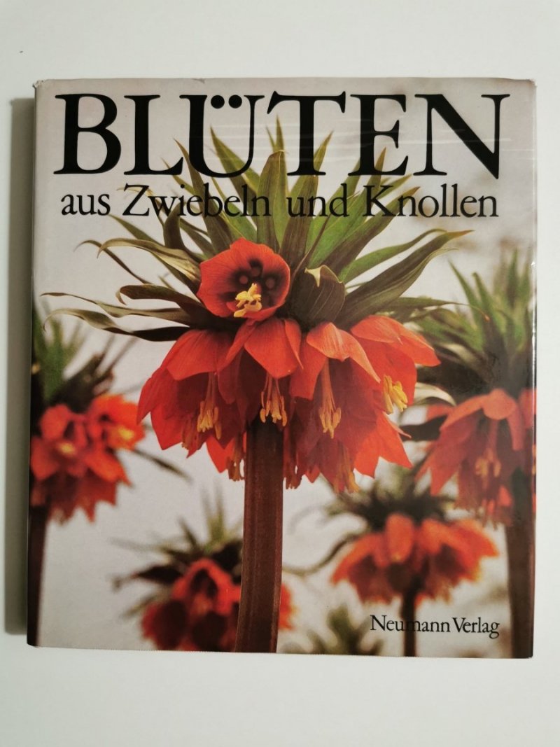 BLUTEN AUS ZWIEBELN UND KNOLLEN 