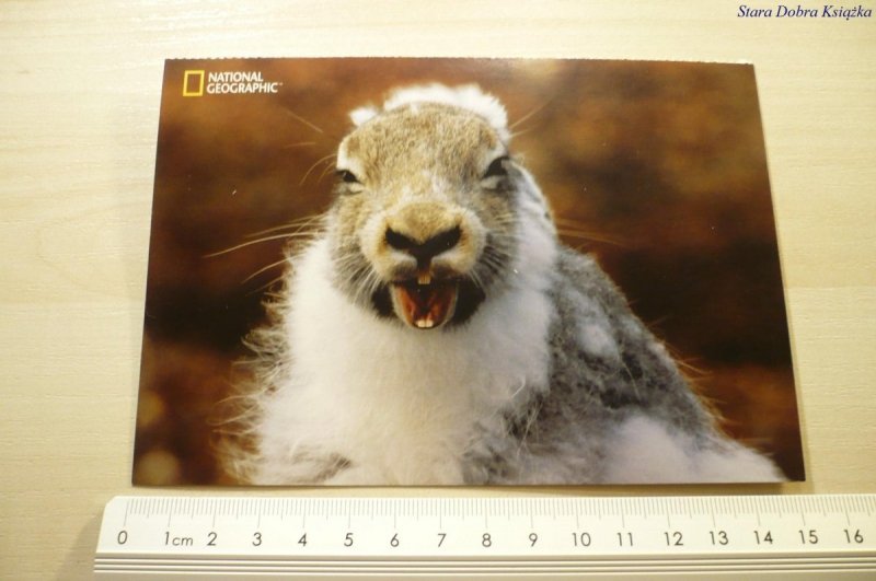ARTCIC HARE