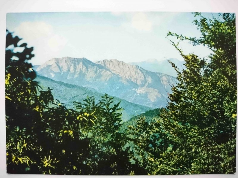 MARESCA. STAZIONE CLIMATICA LA FORESTA