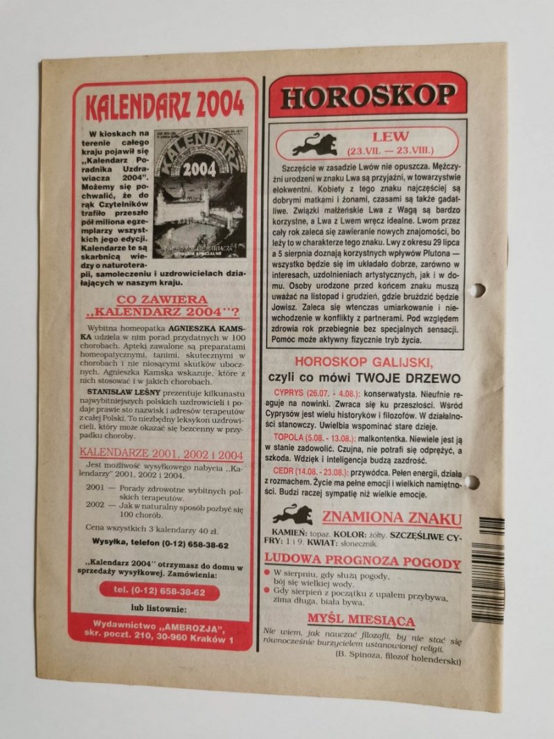 PORADNIK UZDRAWIACZA NR 8/141 SIERPIEŃ 2004 r.