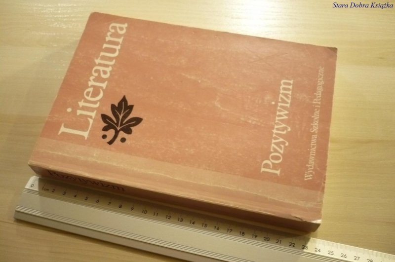 LITERATURA. POZYTYWIZM - Tadeusz Bujnicki (1992)