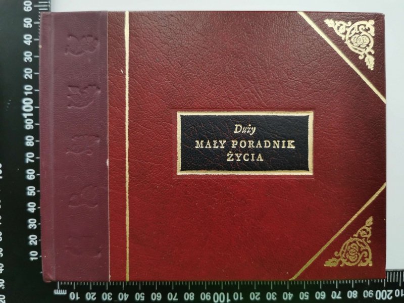 DUŻY MAŁY PORADNIK ŻYCIA - H. Jackson Brown Jr
