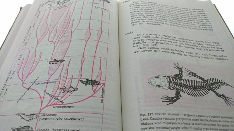 BIOLOGIA DLA KLASY IV LICEUM...- Jerzmanowski 1989