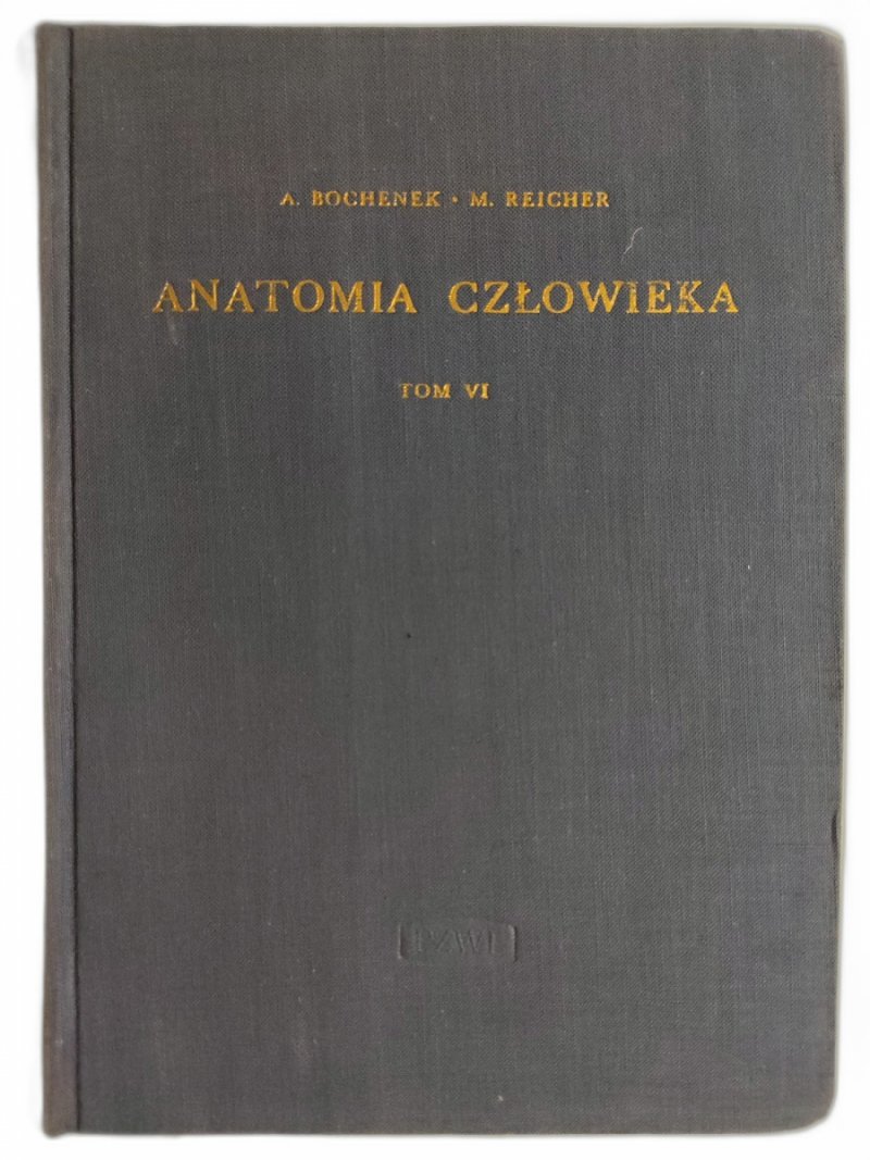 ANATOMIA CZŁOWIEKA TOM VI - Adam Bochenek