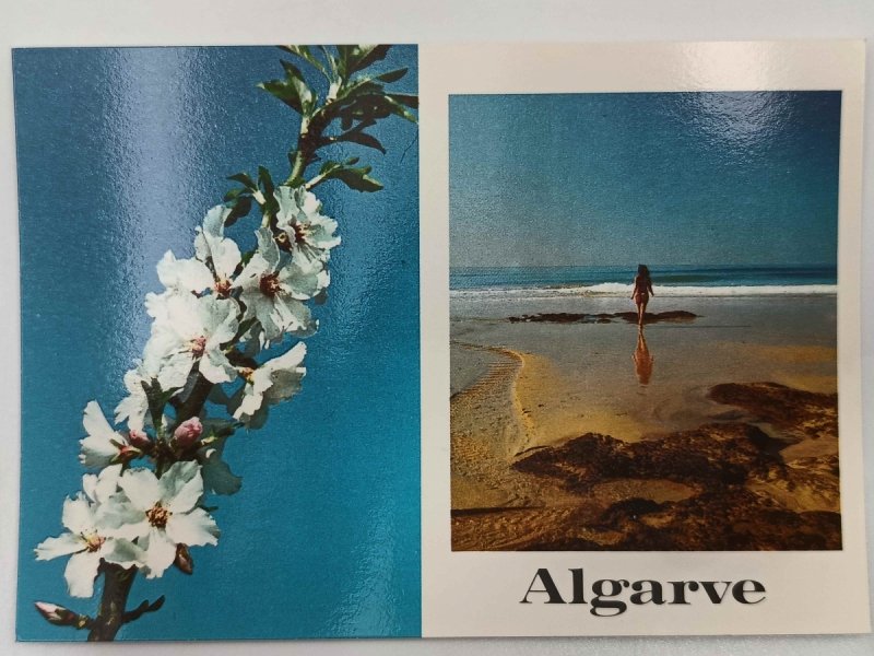 ALGARVE PORTUGALIA KWIAT I PLAŻA