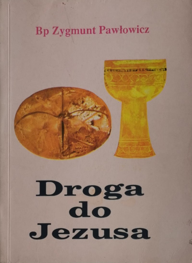 DROGA DO JEZUSA - Zygmunt Pawłowicz