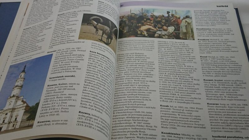 OXFORD. WIELKA ENCYKLOPEDIA ŚWIATA TOM VIII 2004