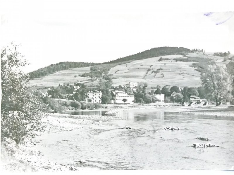 MUSZYNA. FOT. L. ŚWIĘCKI