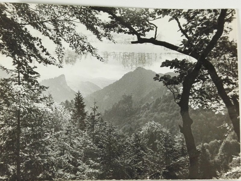 PIENINY. DOLINA, POTOKU PIENIŃSKIEGO FOT. STROJNY