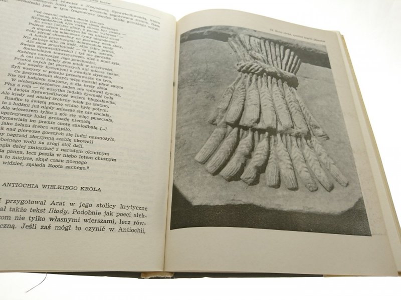 HELLENIKA WIZERUNEK EPOKI... - Świderkówna 1974