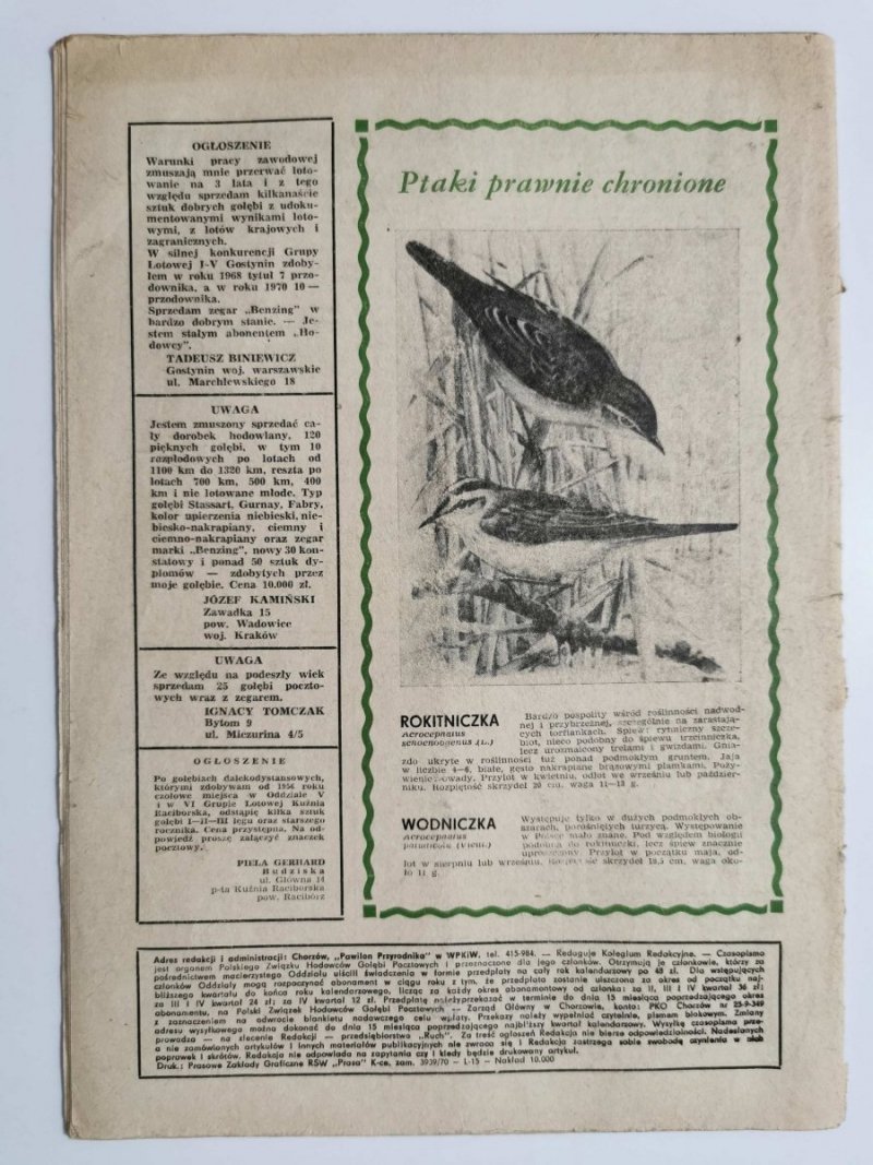 HODOWCA GOŁĘBI POCZTOWYCH NR 12 1970
