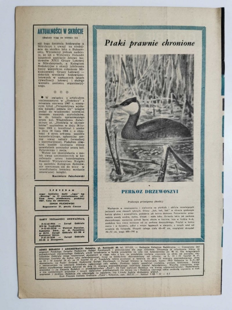 HODOWCA GOŁĘBI POCZTOWYCH NR 8 1967