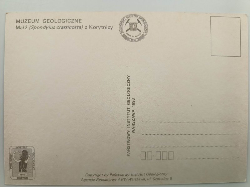 MAŁŻ Z KORYTNICY