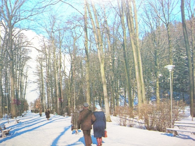 KUDOWA ZDRÓJ. PARK ZDROJOWY FOT. J. TYMIŃSKI