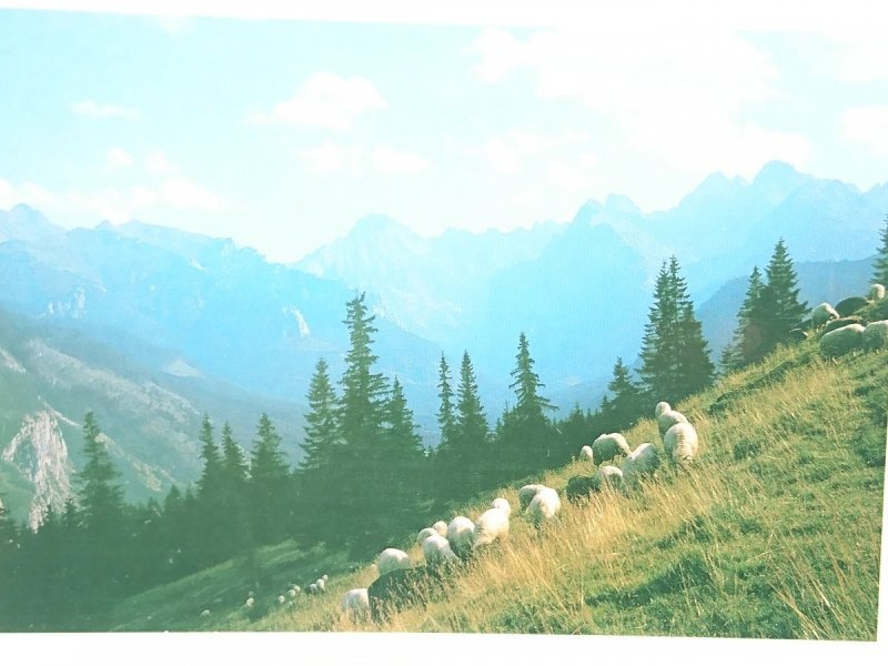 PANORAMA TATR WYSOKICH Z RUSINOWEJ POLANY
