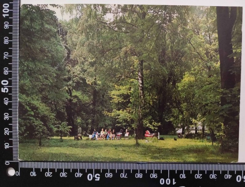 GLIWICE. PARK MIEJSKI