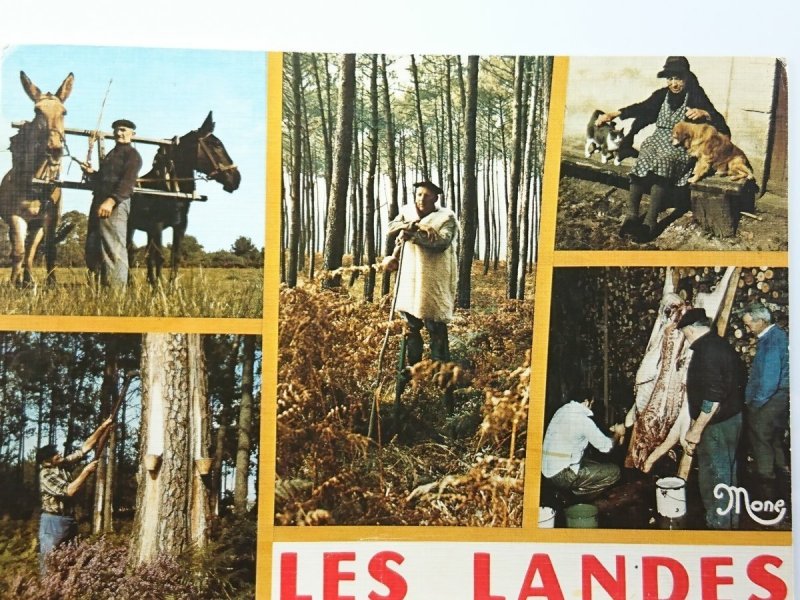 LES LANDES. LA BELLE AQUITAINE