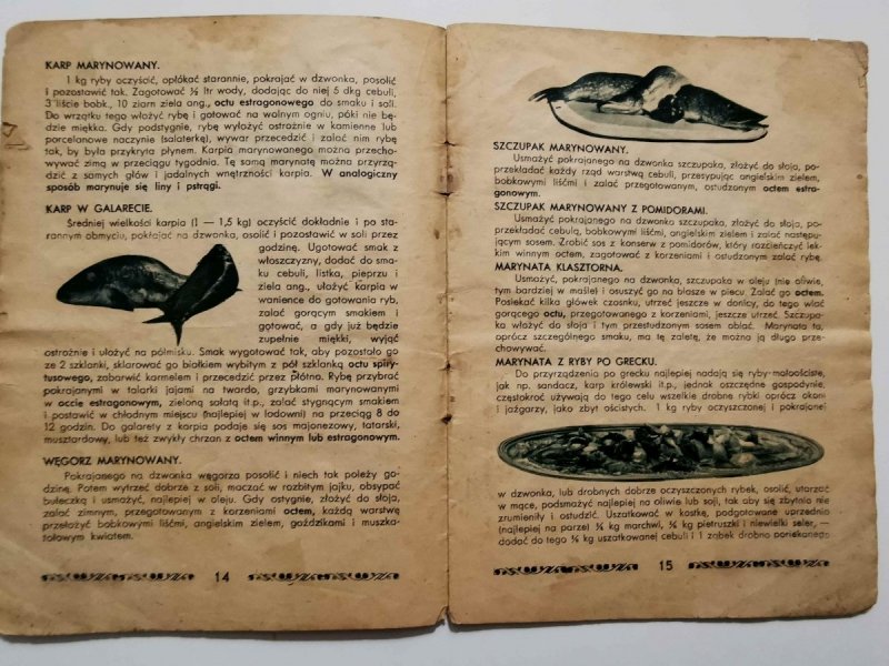 OCET FERMENTOWANY I JEGO ZASTOSOWANIA