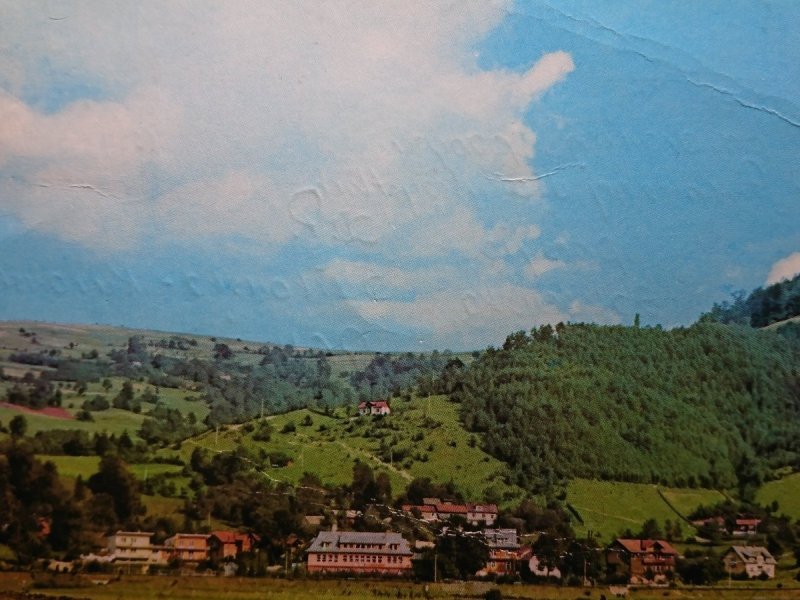 PIWNICZNA. ZESPÓŁ DOMÓW... FOT. J. MAKAREWICZ