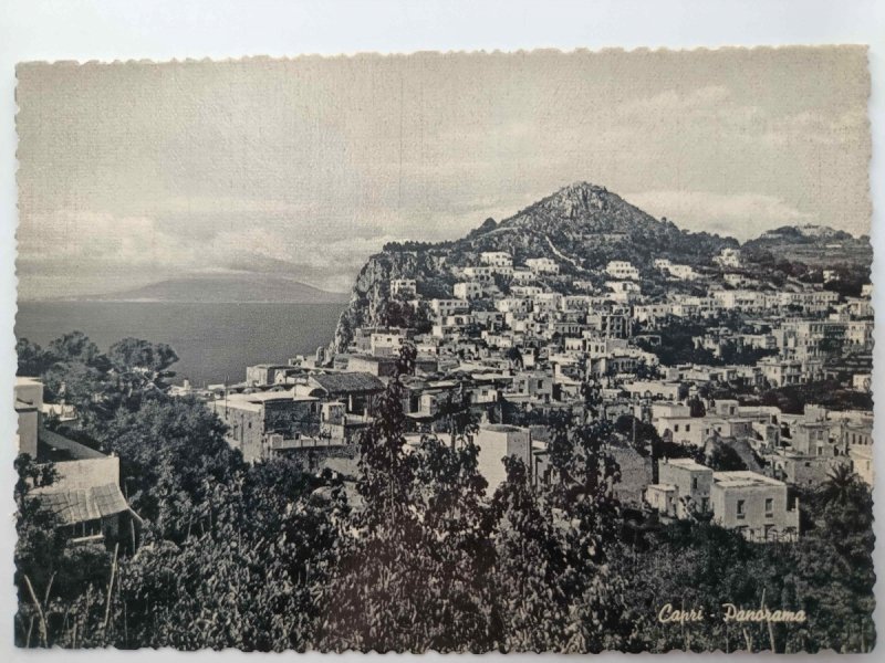 CAPRI GENERAL VIEW