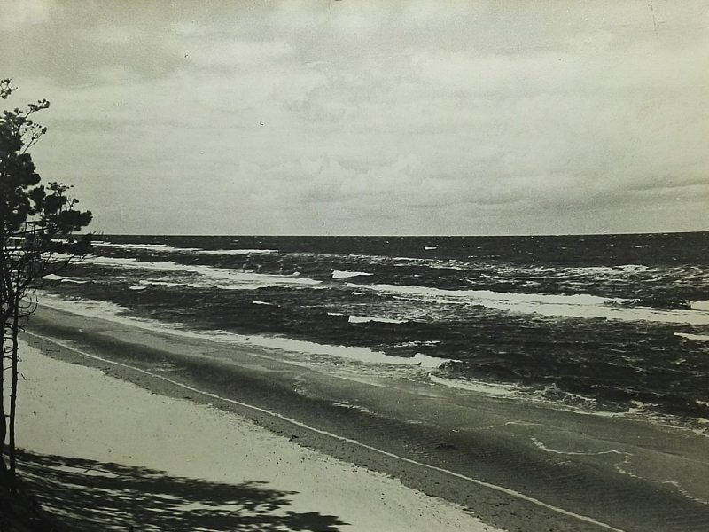 BAŁTYK FOT. T. HERMAŃCZYK