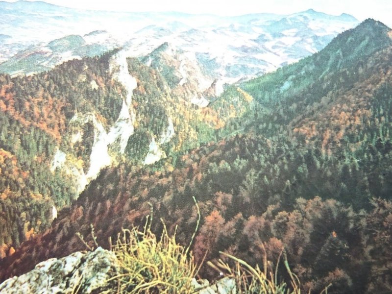 PIENINY. WIDOK Z OSTREGO WIERCHU NA GOLICĘ